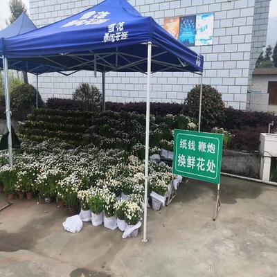 天全县民政局采取“四个行动”扎实做好殡葬系统“优质服务月”活动